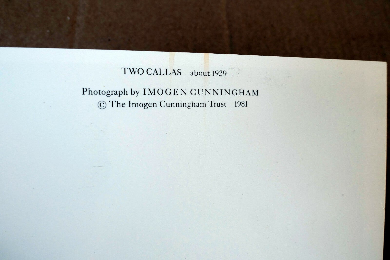 Two Callas 1929 Photograph by Imogen Cunningham POSTCARD unposted IC-2 floral