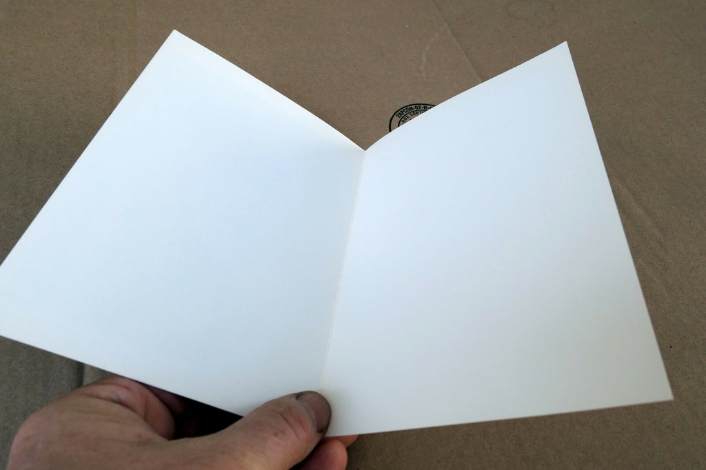 Kale Halved 1930 Photograph by Edward Weston greeting card W-009-85 35-V