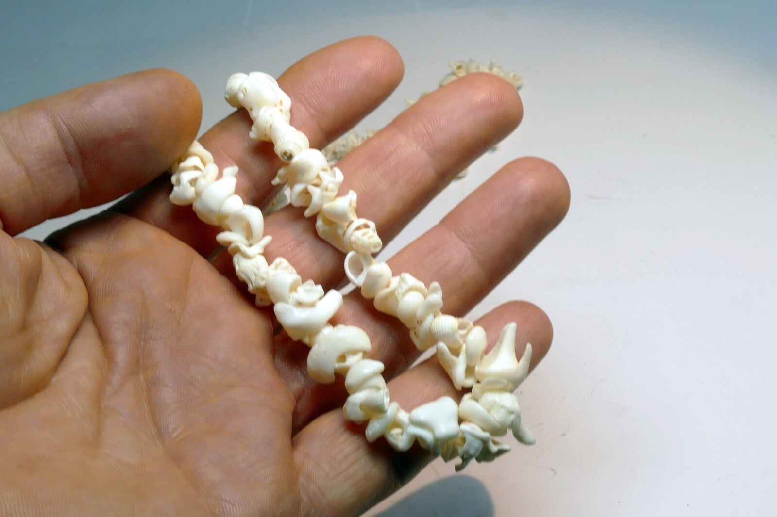 Cowrie Shell 17" Necklace Lei Jewelry Boho Surfer White ocean pacific hawaii