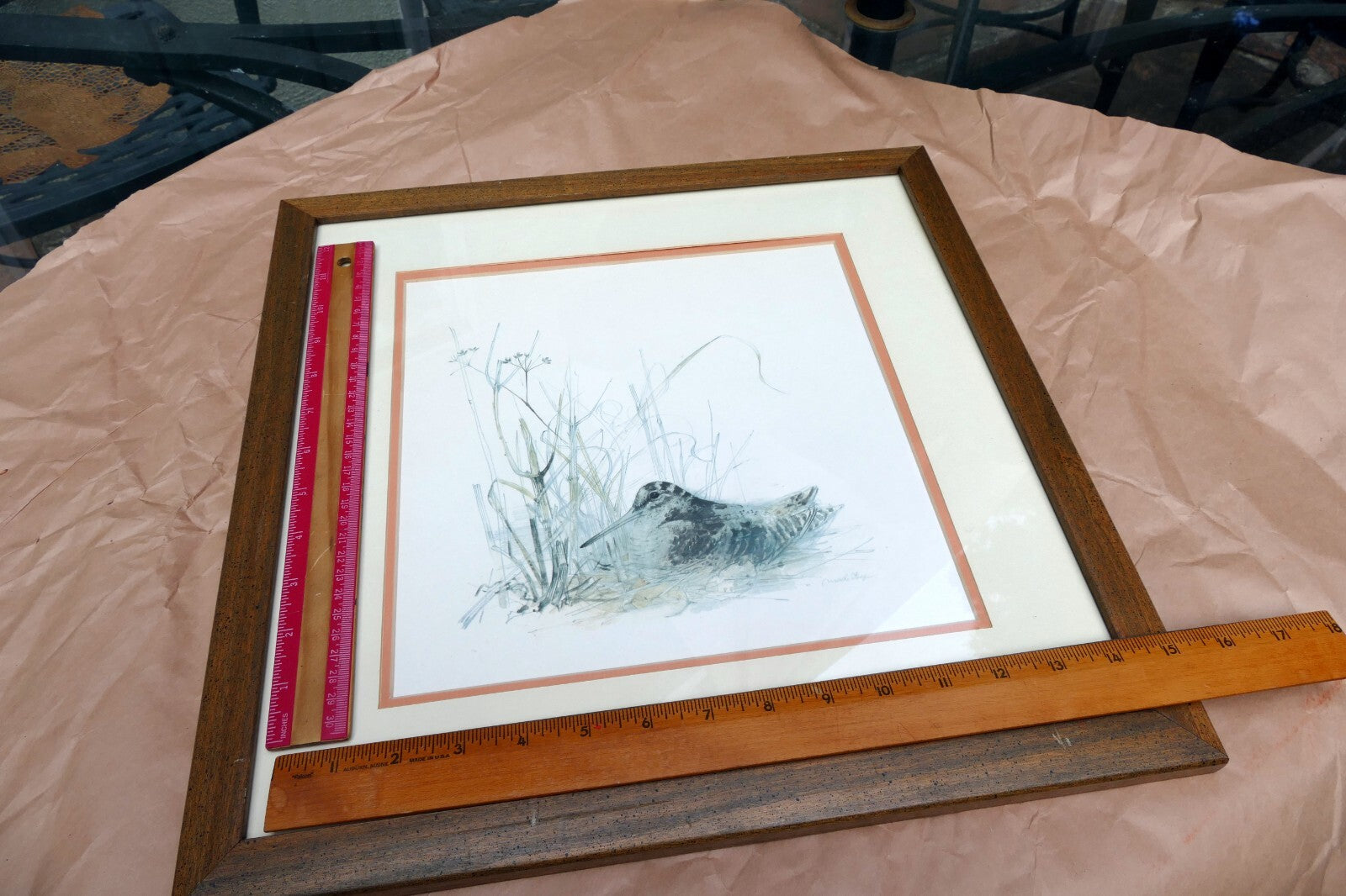 Mads Stage Framed Print Common Snipe bird nesting 11X11" signed