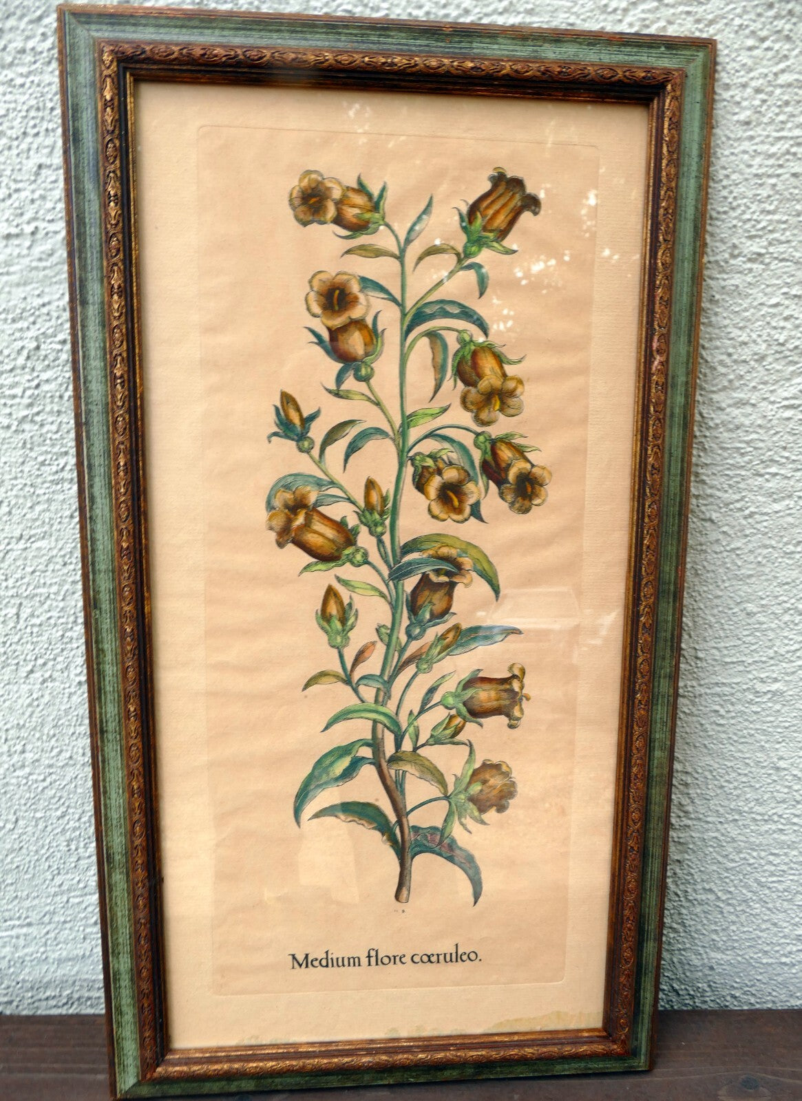 Edizioni ponte medium flore coeruleo botanical floral print 14x25" framed