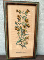 Edizioni ponte medium flore coeruleo botanical floral print 14x25" framed