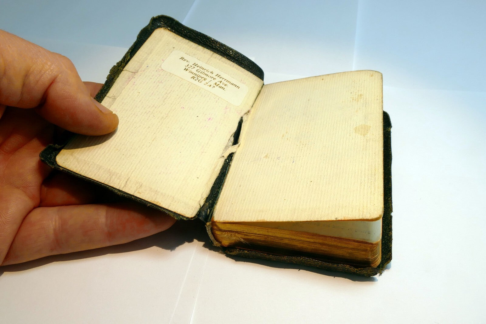 Das Neue Testament 1950 Stuttgart German Bible Translated By D. Martin Luther