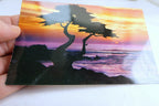 Cypress Pacific Ocean Sunset Moneterey Peninsula California USA Postcard 1970's