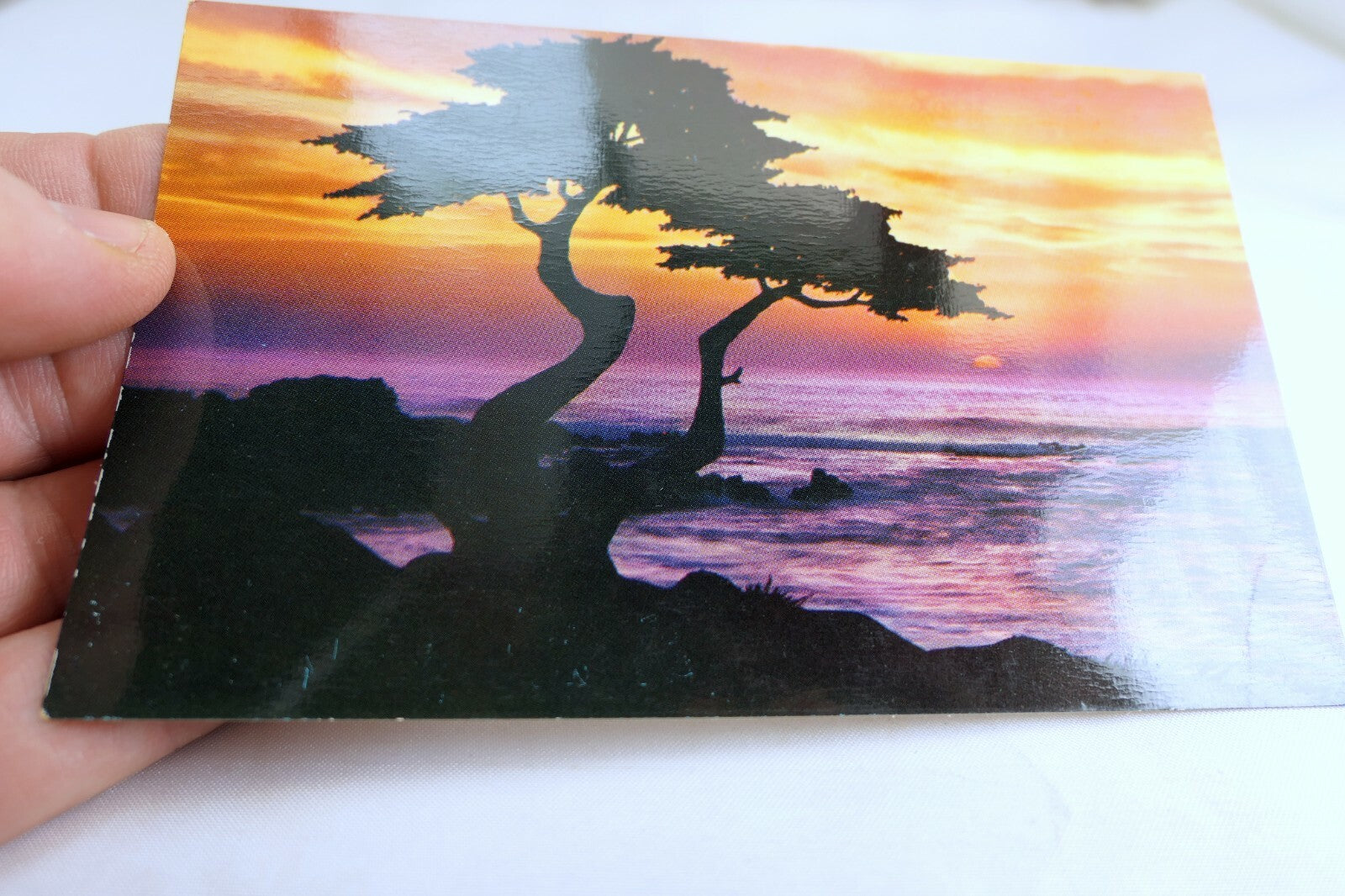 Cypress Pacific Ocean Sunset Moneterey Peninsula California USA Postcard 1970's