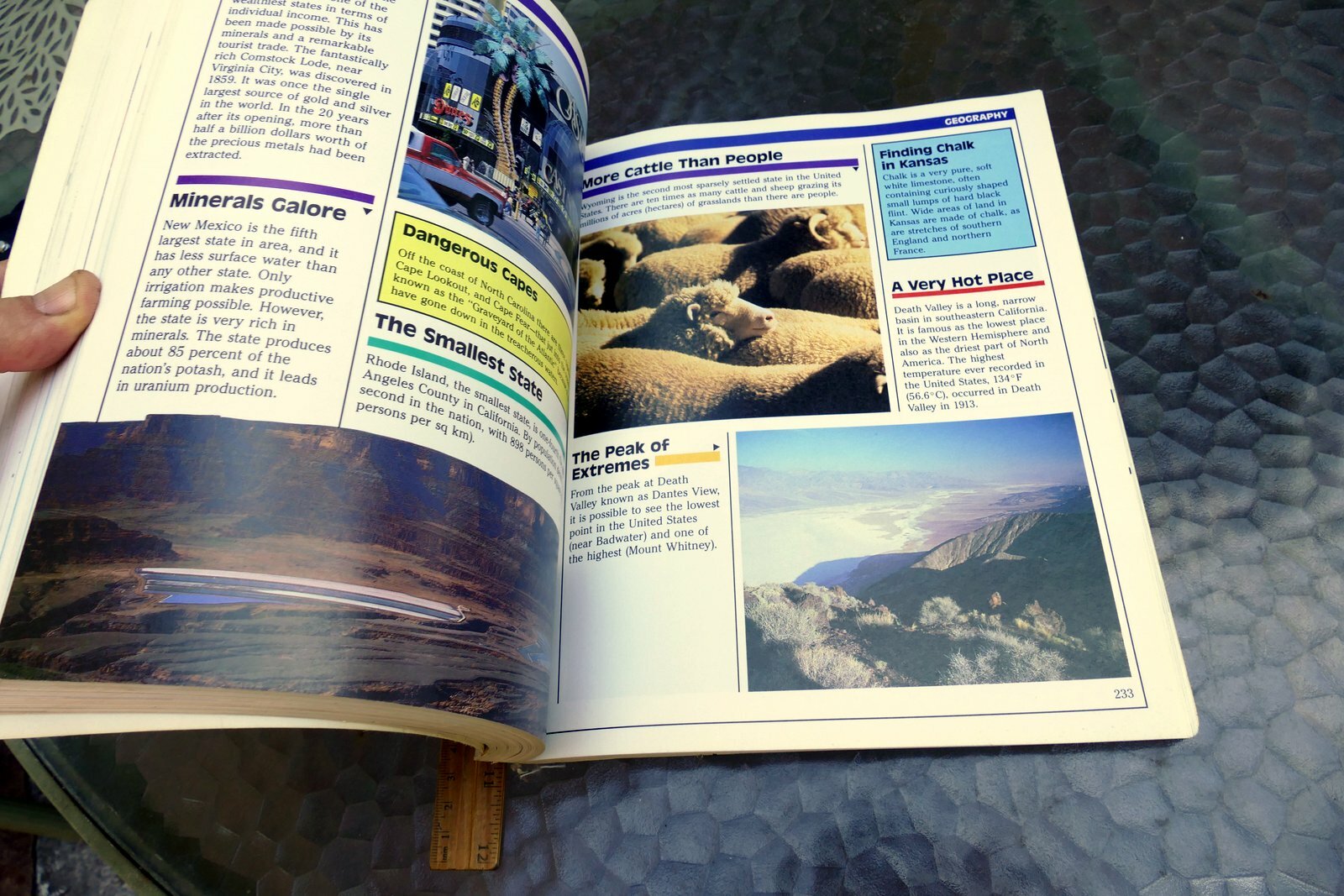 The Book of Fascinating Facts Encyclopedia Britannica  1992 paperback for kids