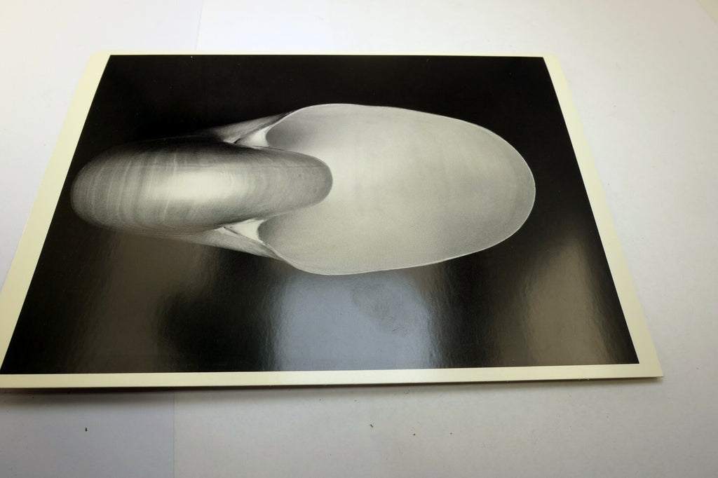 Shells 1927 1-S Photograph by Edward Weston POSTCARD vintage unposted EW-1