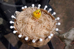EASTER BONNET BASKET with yellow bird 4X4" for eggs