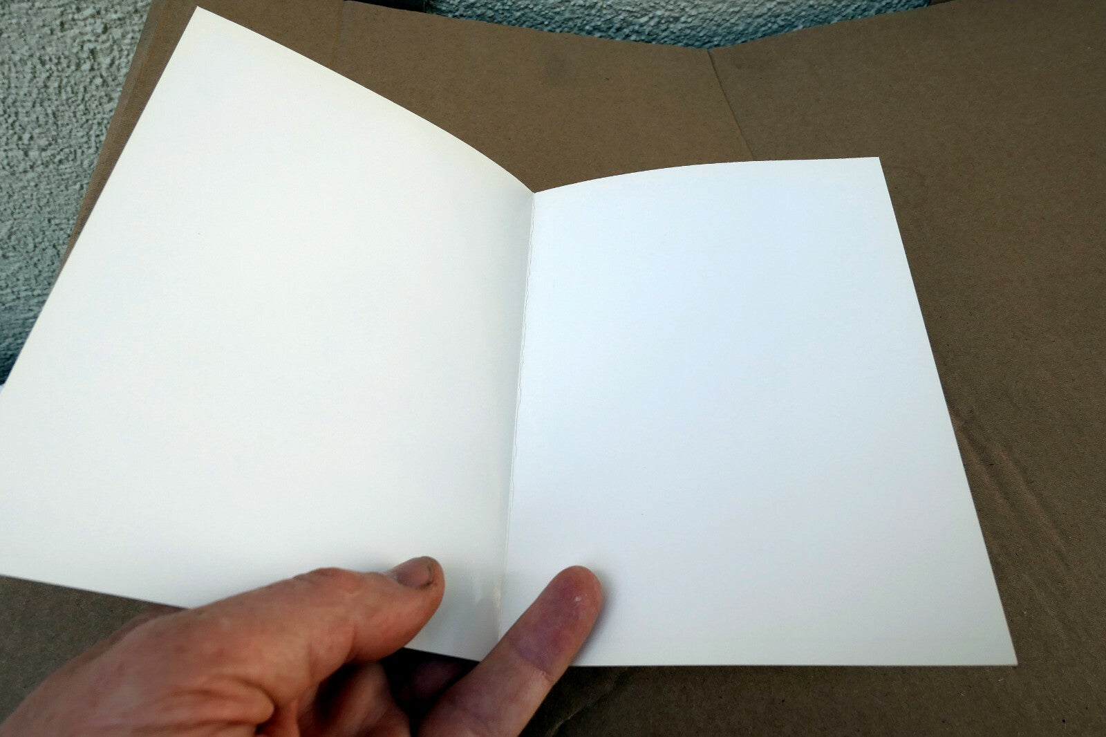 1976 Succulent Flower blossom Photograph by Don Worth D-001 greeting card