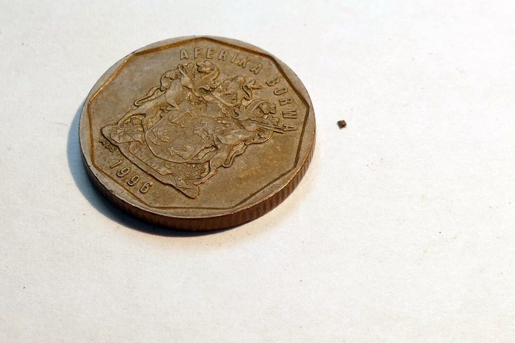 South Africa 20 Cents Tswana Legend - AFERIKA BORWA Coin 1996