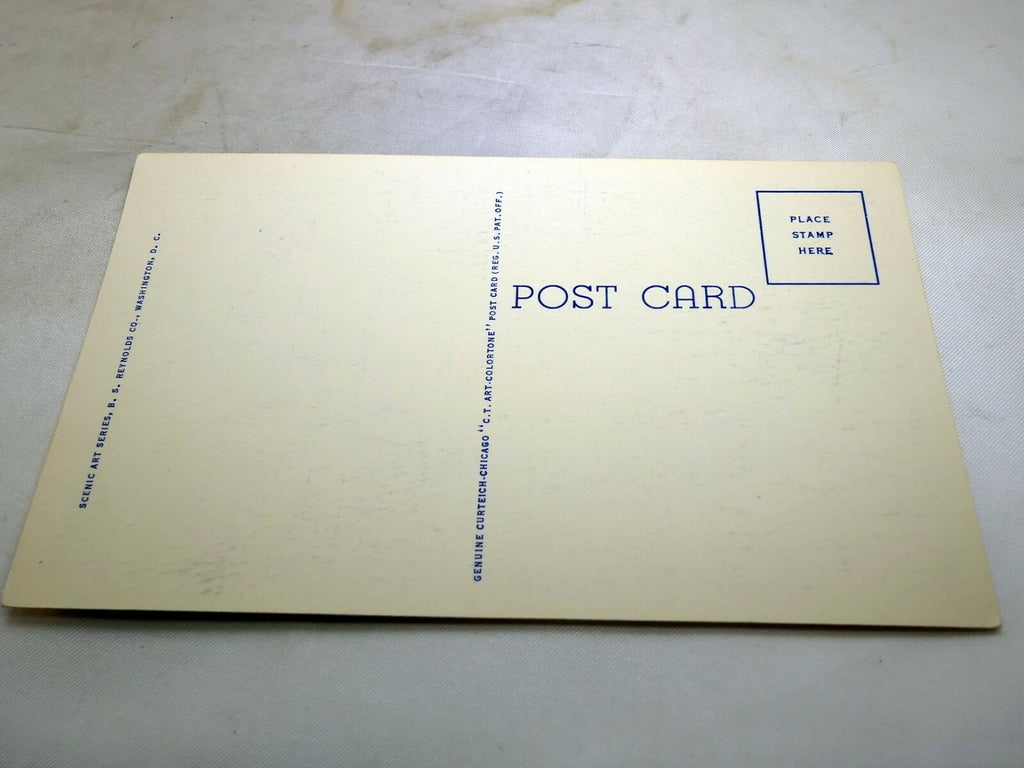 Post Card Potomac park Cherry Blossoms 125 Washington DC Linen 1940's