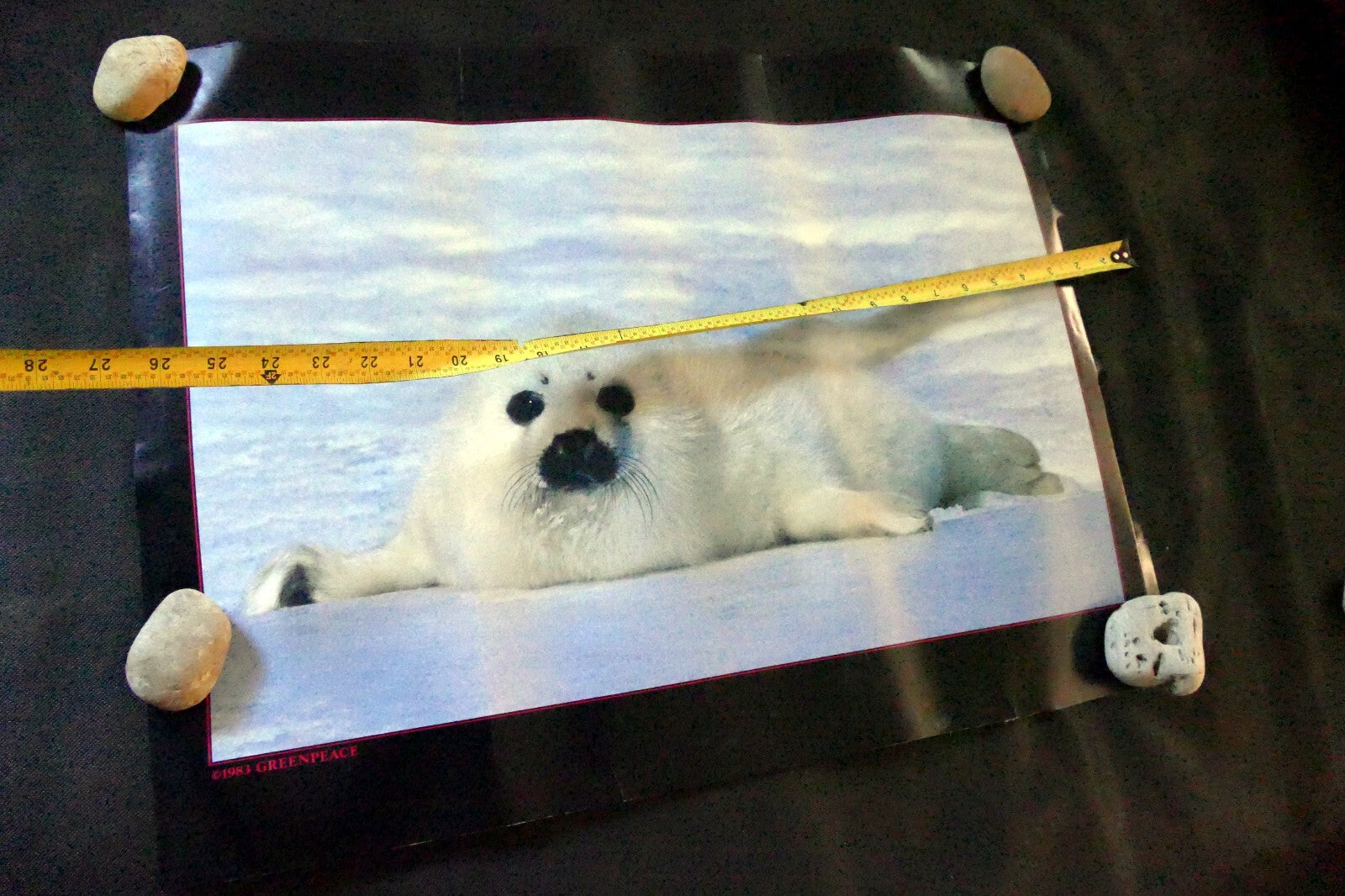 Greenpeace Save The Seal Pup 1983 warming ocean ice float poster 17X24"