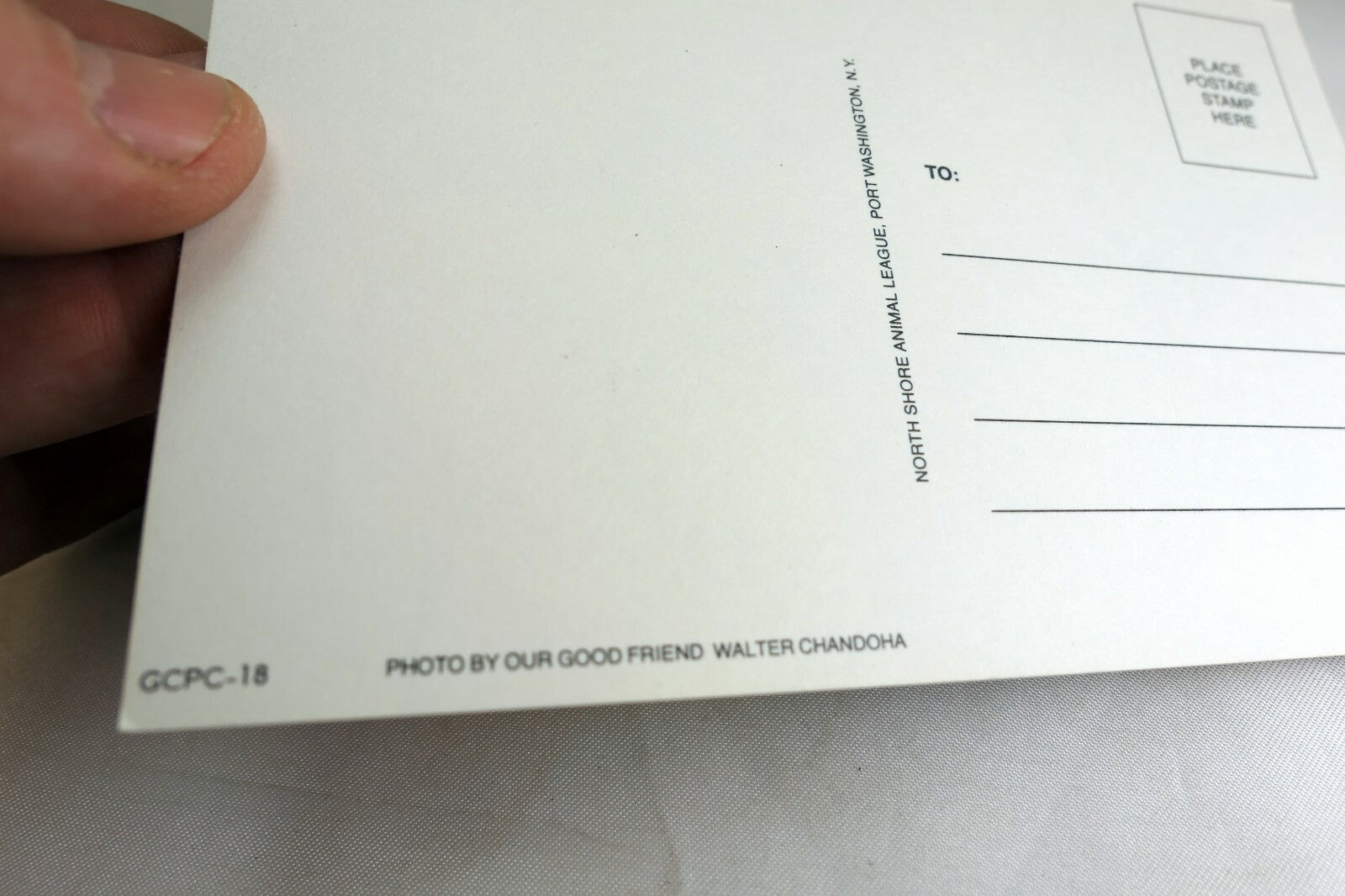 Just a Note Postcard Animal Shelter North Shore League Adopt a Pet Kitten 1980's