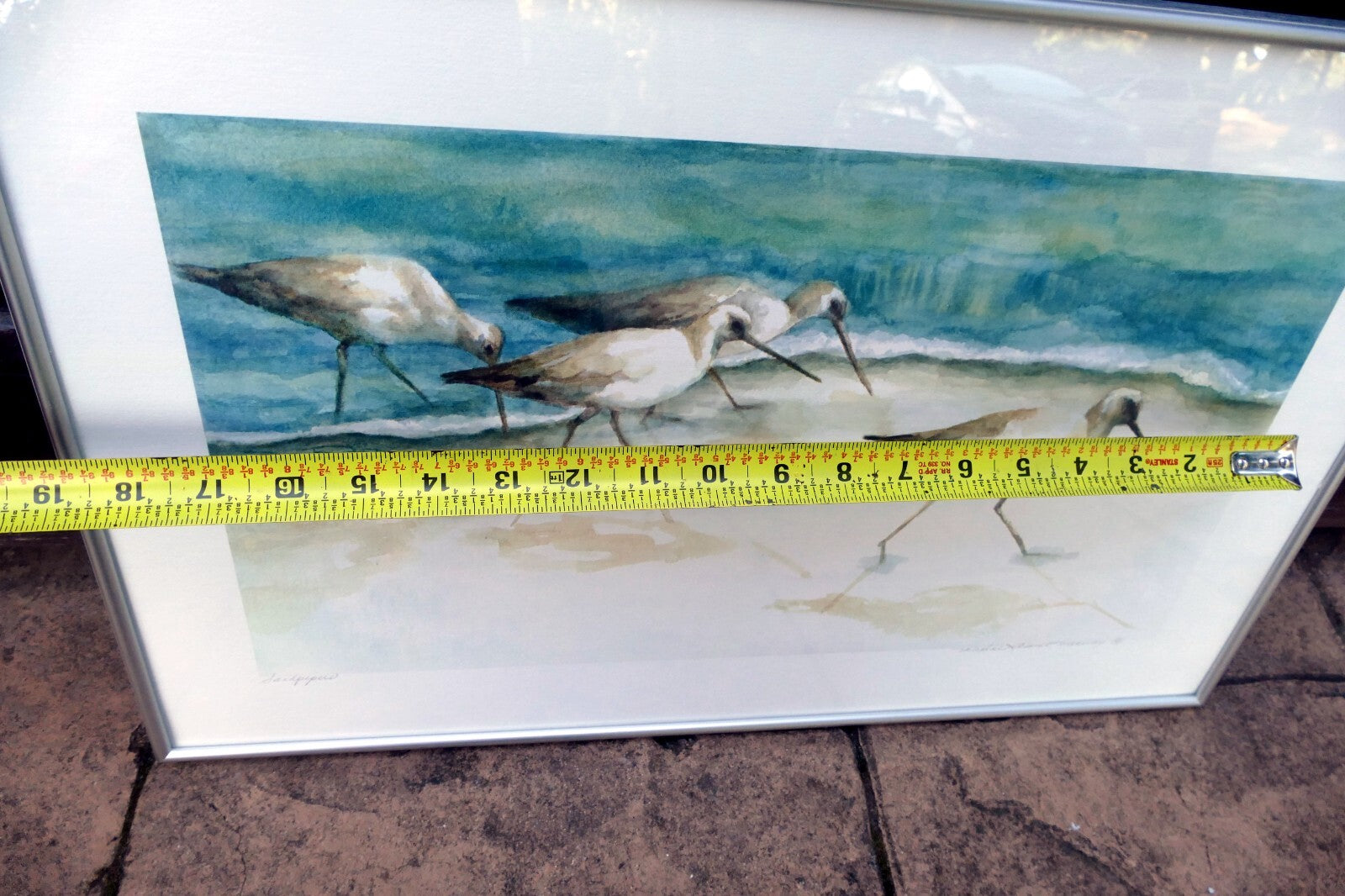 Artist Maxine Remont Macway Wildlife Art Shorebirds “Sandpipers”  Print