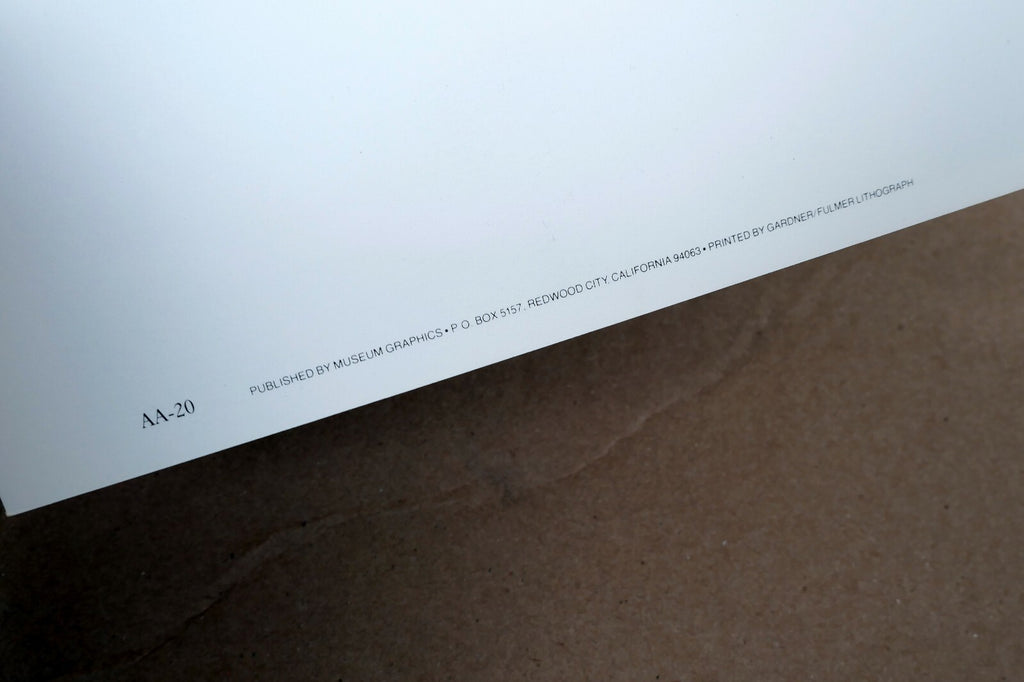 Tenaya Creek Dogwood Rain 1948 photograph by Ansel Adams POSTCARD AA-20