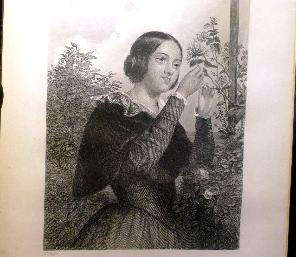 "the garden flower" woman engraving victorian j. wright print etching poetry