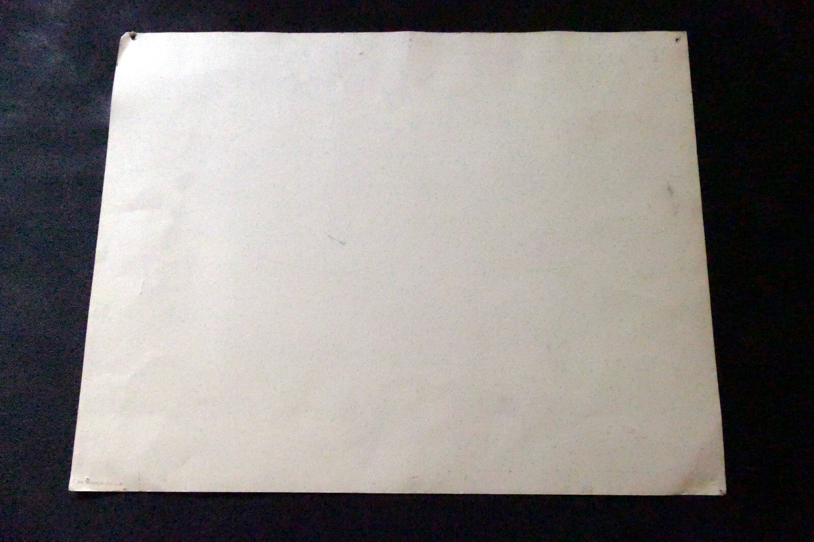 LEONARD BASKIN "Eagle" Woodcut Print - Numbered 54, unframed - vintage