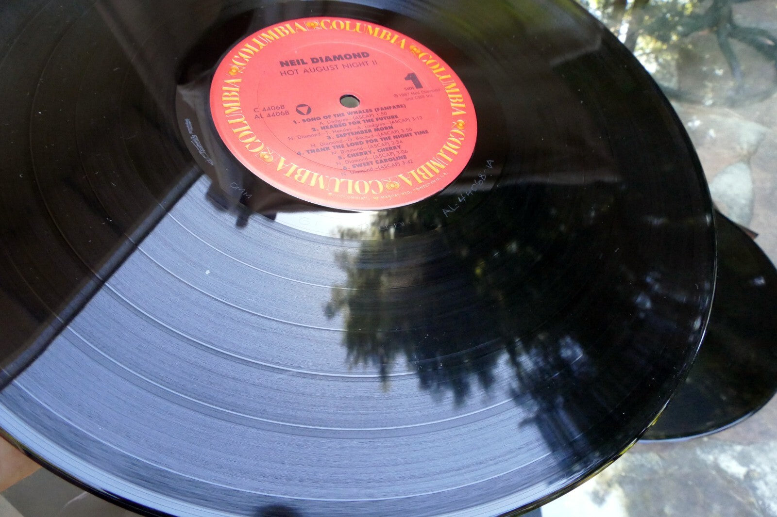 Neil Diamond Vinyl 2LP Hot August Night II Live Concert 1987 Columbia records VG