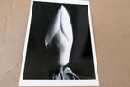 Magnolia Bud 1920 Photograph by Imogen Cunningham POSTCARD IC-1 Floral design