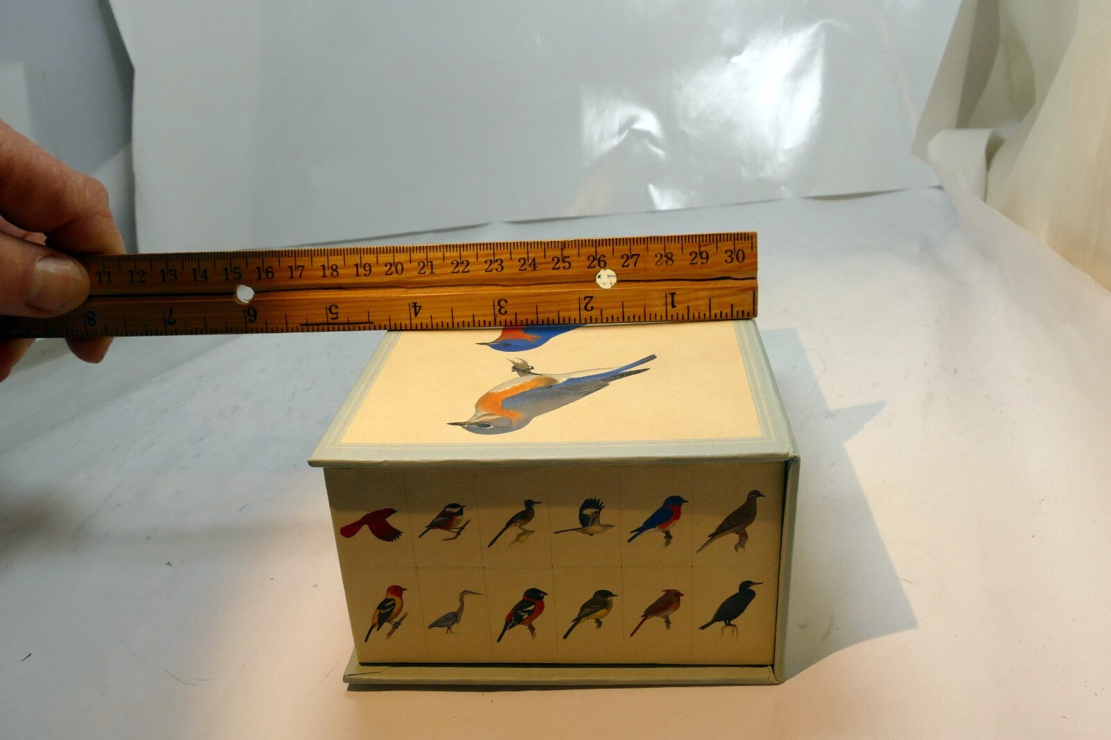 Empty Box (only)  for Sibley backyard Birding bird 4X6.5"