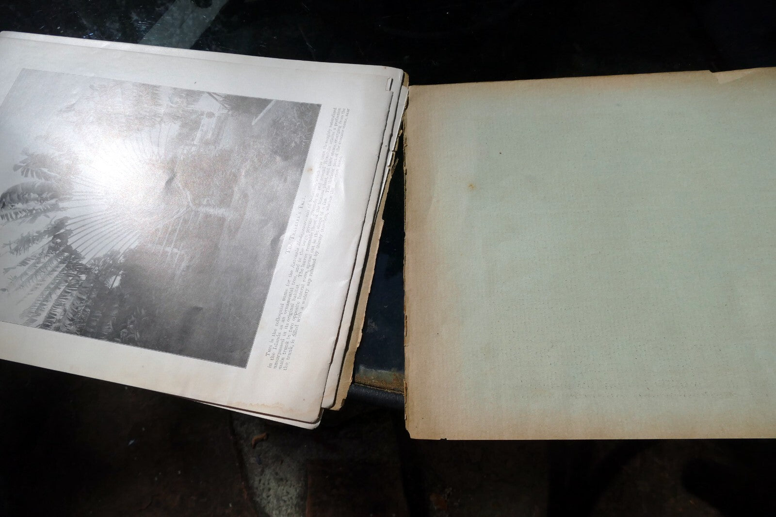 The Hawaiian Islands Paradise Of The Pacific Book Photographs Journal Apr. 1898