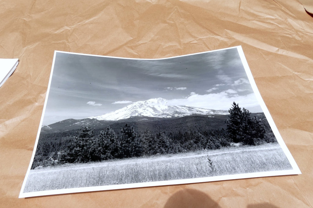 Mt. Shasta California 11X14" Black & white Picture Photo in Winter USA