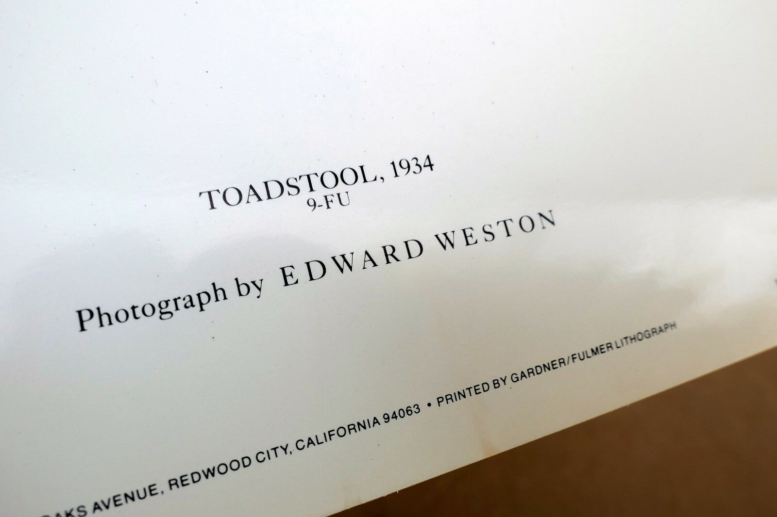 Toadstool 1934  9-FU Photograph by Edward Weston greeting card W-002-75