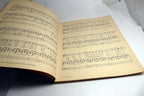Most Popular Drawing Room and Concert Songs Sheet Music Book for High Voice 1912