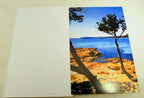 postcard (unused) south europe lone pine tree sunny beach