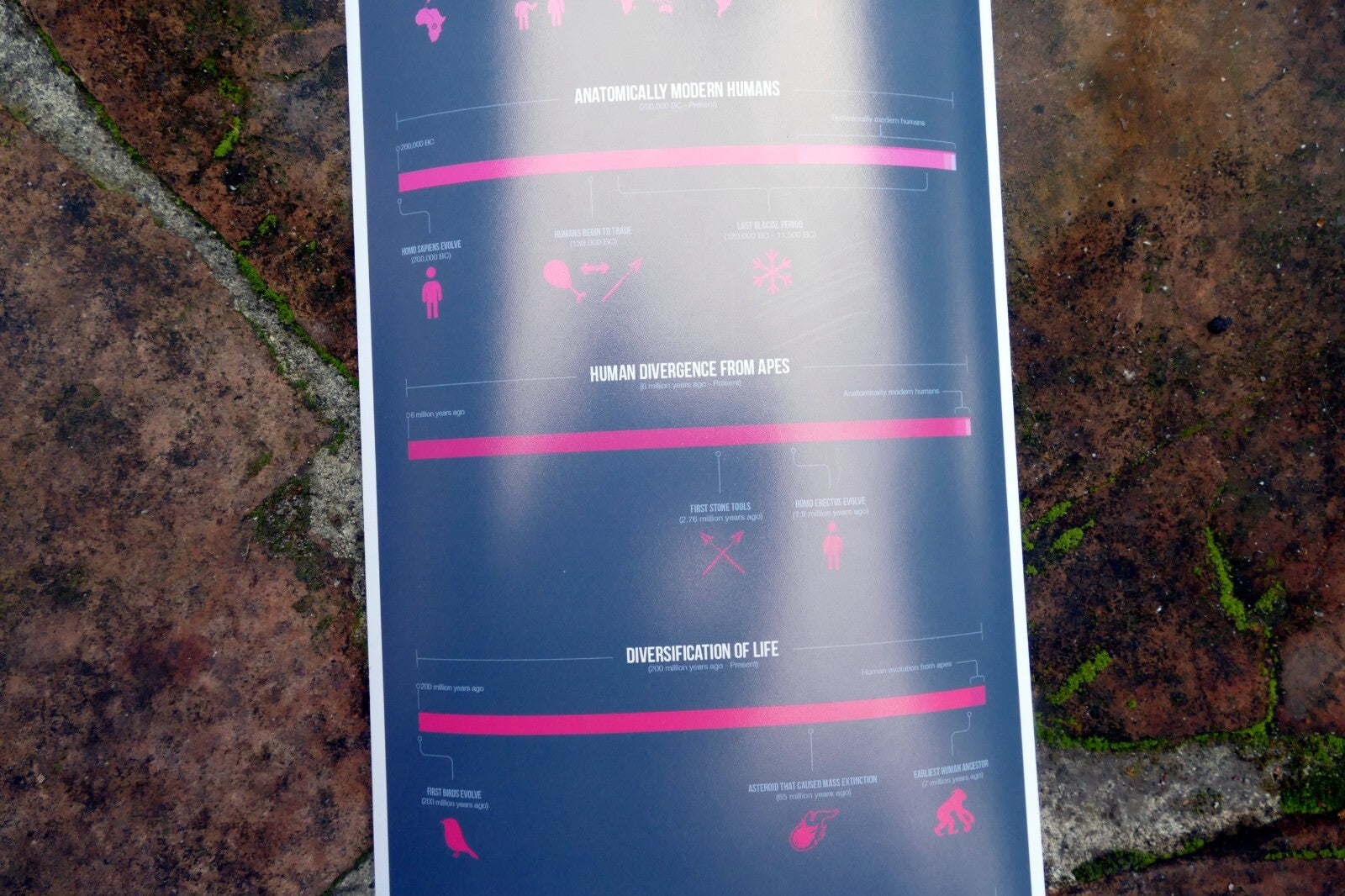 "Perspective of Time" Universe Galaxy Science Print Poster Time Chart Evolution