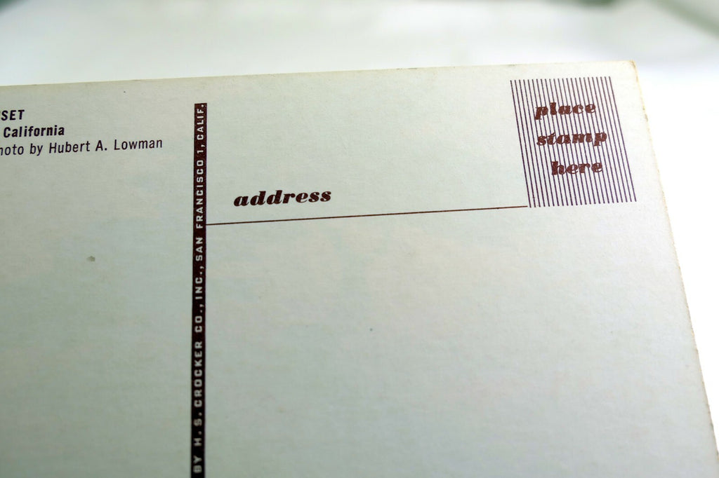 Cypress Pacific Ocean Sunset Moneterey Peninsula California USA Postcard 1970's