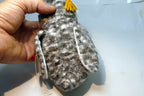 2000 TY Beanie Babies - Smart Owl Class of 2001