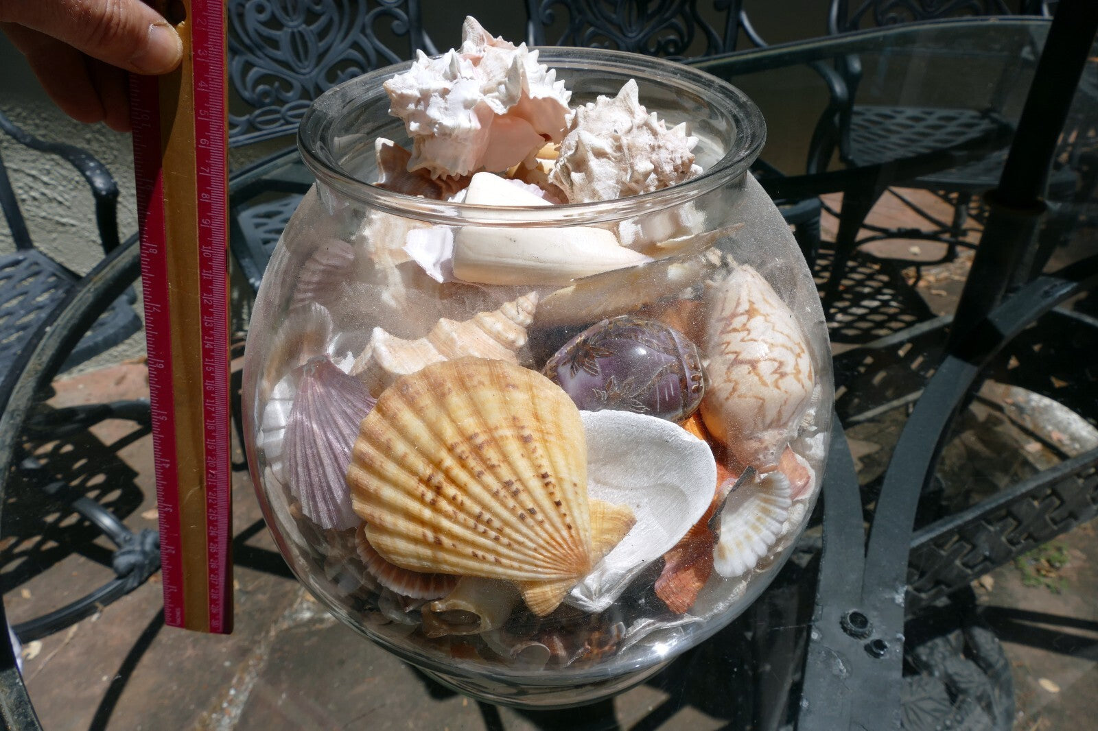 15 LBS Huge lot of Ocean Shell Seashell with glass bowl California San Francisco