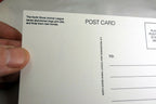Note for You Postcard Animal Shelter North Shore League Adopt a Pet Kitten Cat