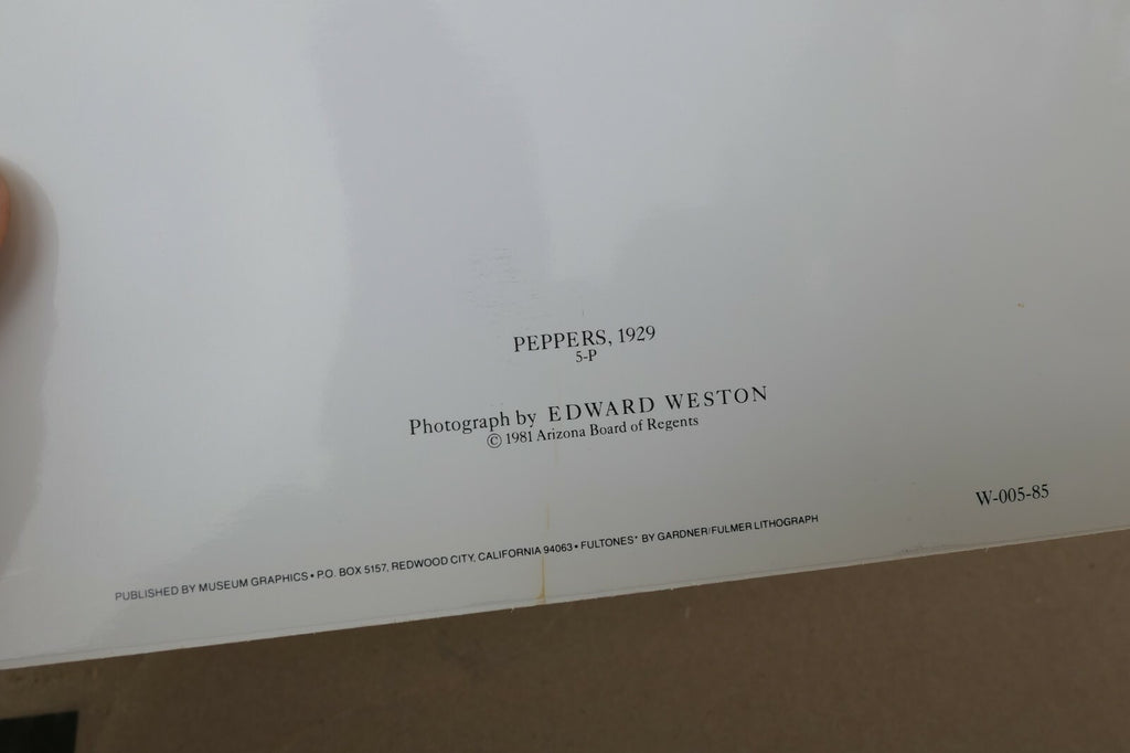 Pepper 5-P 1929 Photograph by Edward Weston Greeting Card unposted EW-005-85