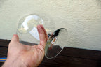 2000ml To 4000ml Super Big Wine Glass Huge Brandy Glass Large Capacity Crystal