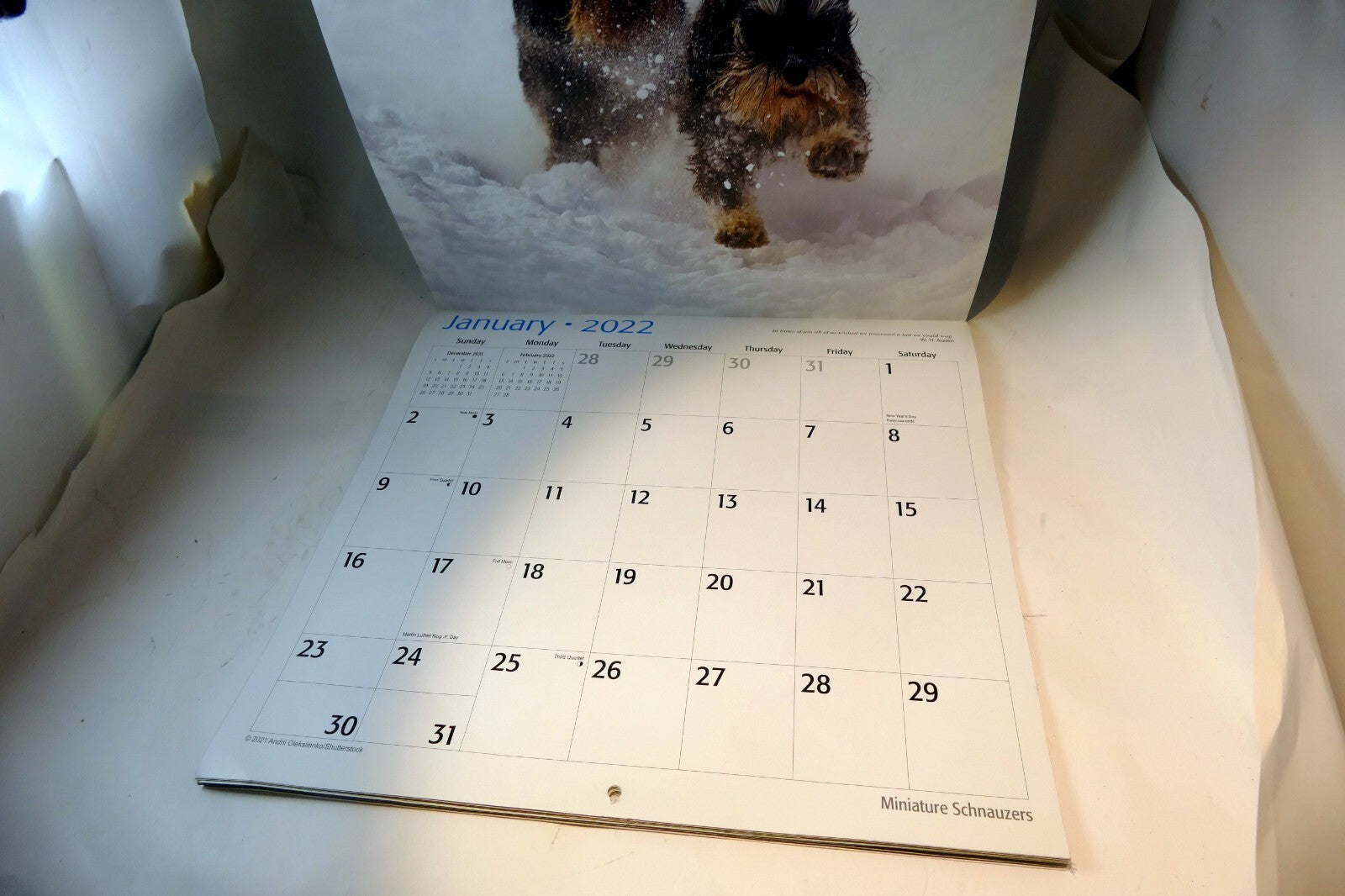 2022 Miniature Calendar puppy dog pics Red Ember family series
