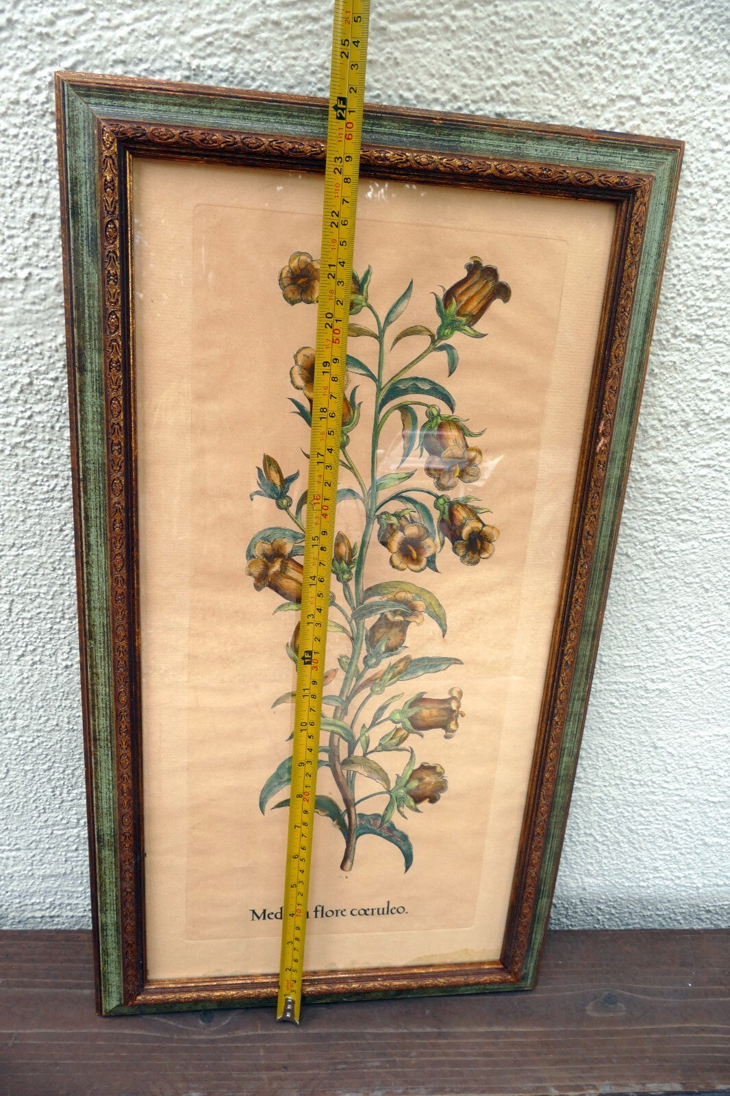 Edizioni Ponte Medium Flore Coeruleo Botanical Floral Print 14X25" Framed