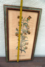 Edizioni Ponte Medium Flore Coeruleo Botanical Floral Print 14X25" Framed