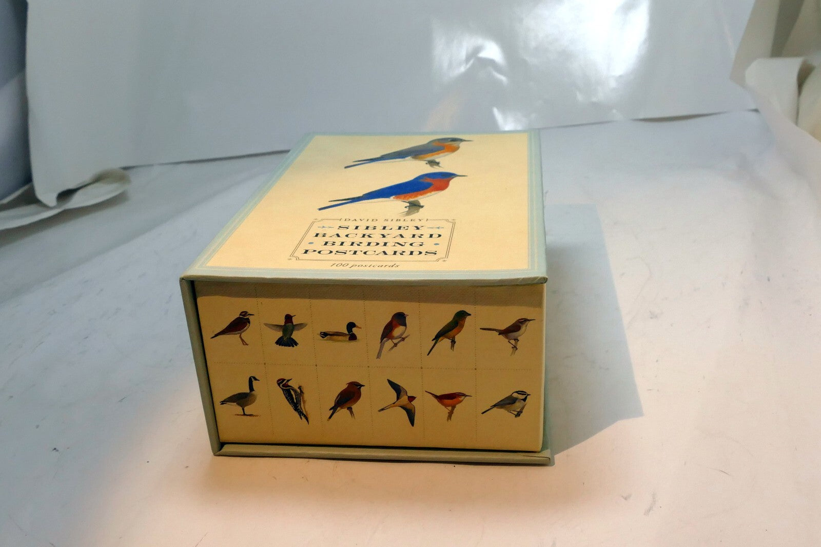 Empty Box (only)  for Sibley backyard Birding bird 4X6.5"