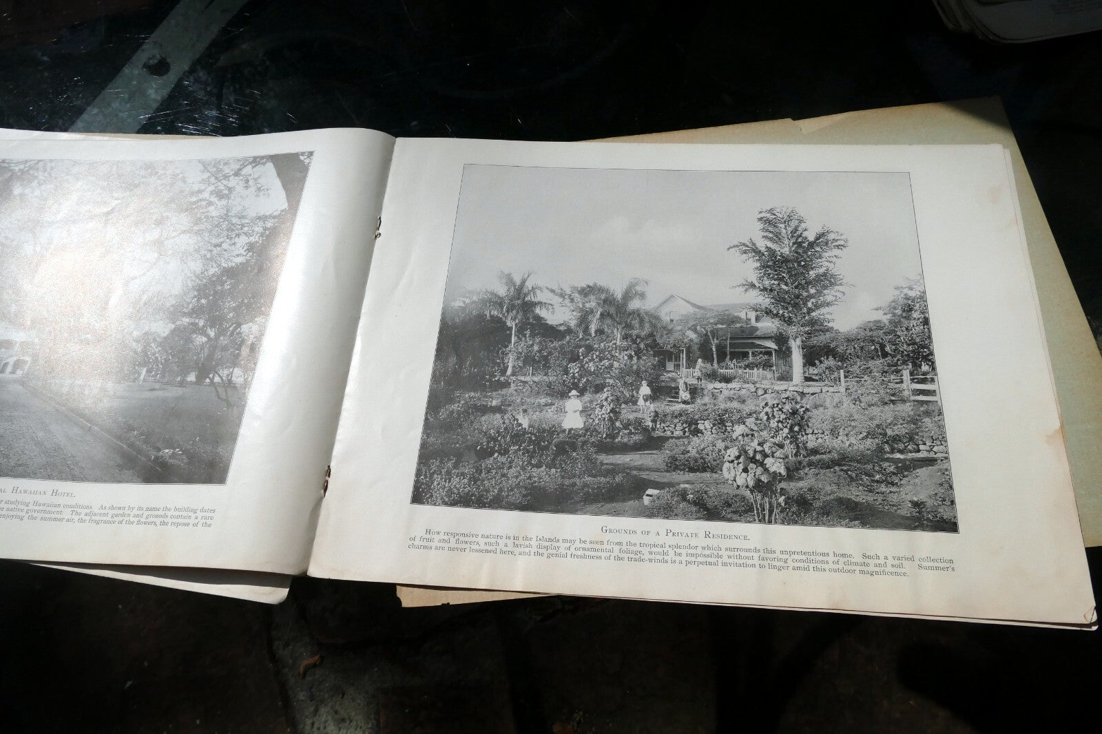 The Hawaiian Islands Paradise Of The Pacific Book Photographs Journal Apr. 1898