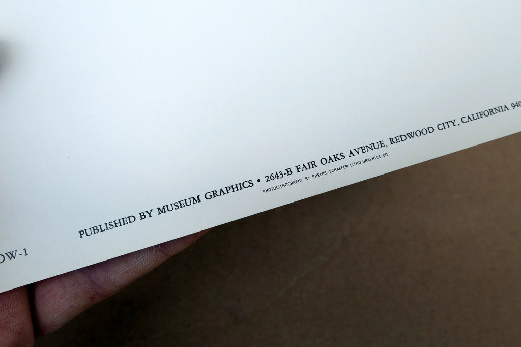 1968 Succulent Flower blossom Photograph by Don Worth POSTCARD DW-1  Floral