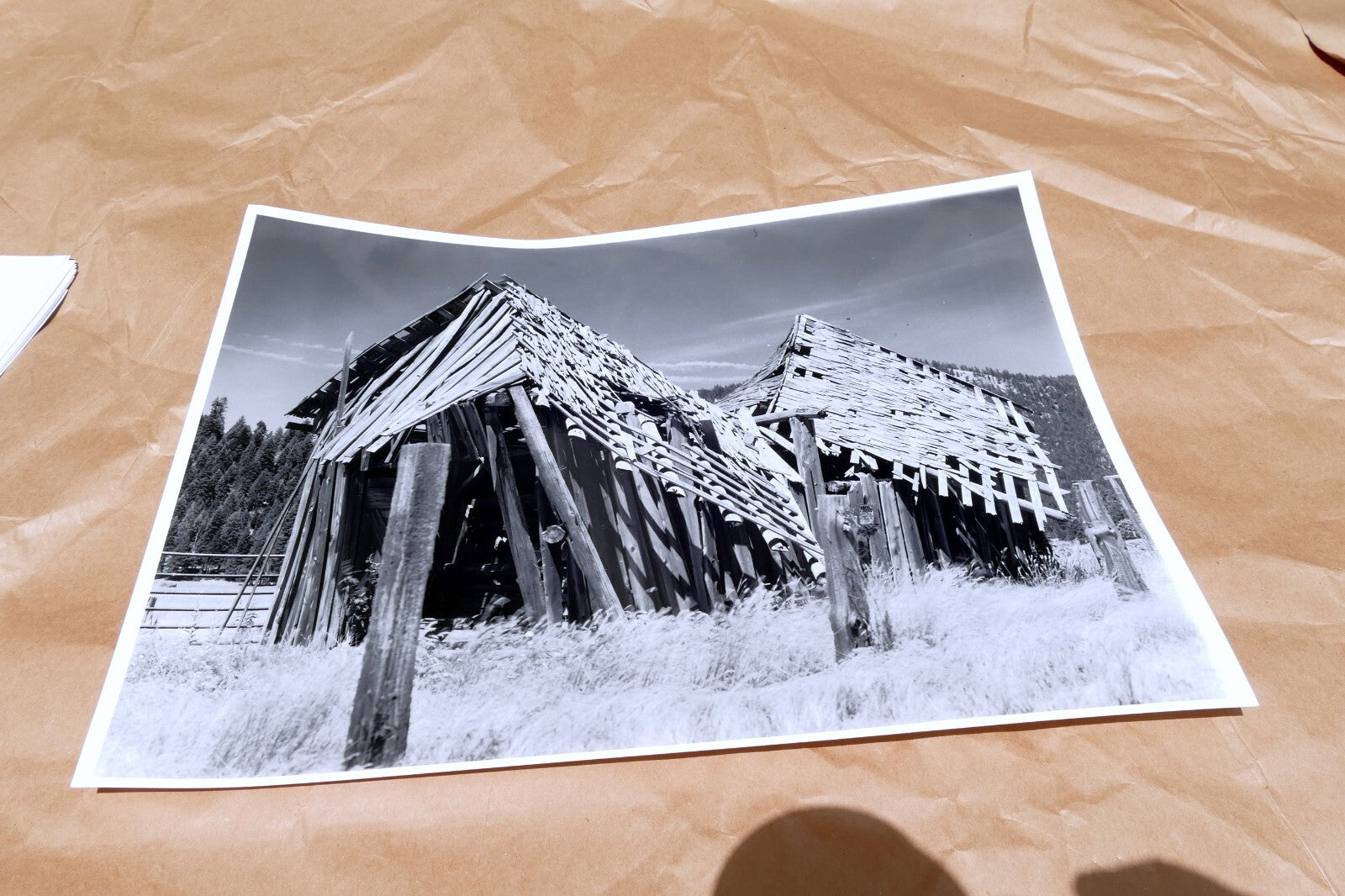 Mt. Shasta California 11X14" Black & white Picture Photo Forgotten Cabin USA
