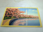 Post Card Washington Monument Potomac Cherry Blossoms Washington DC Linen 1940s