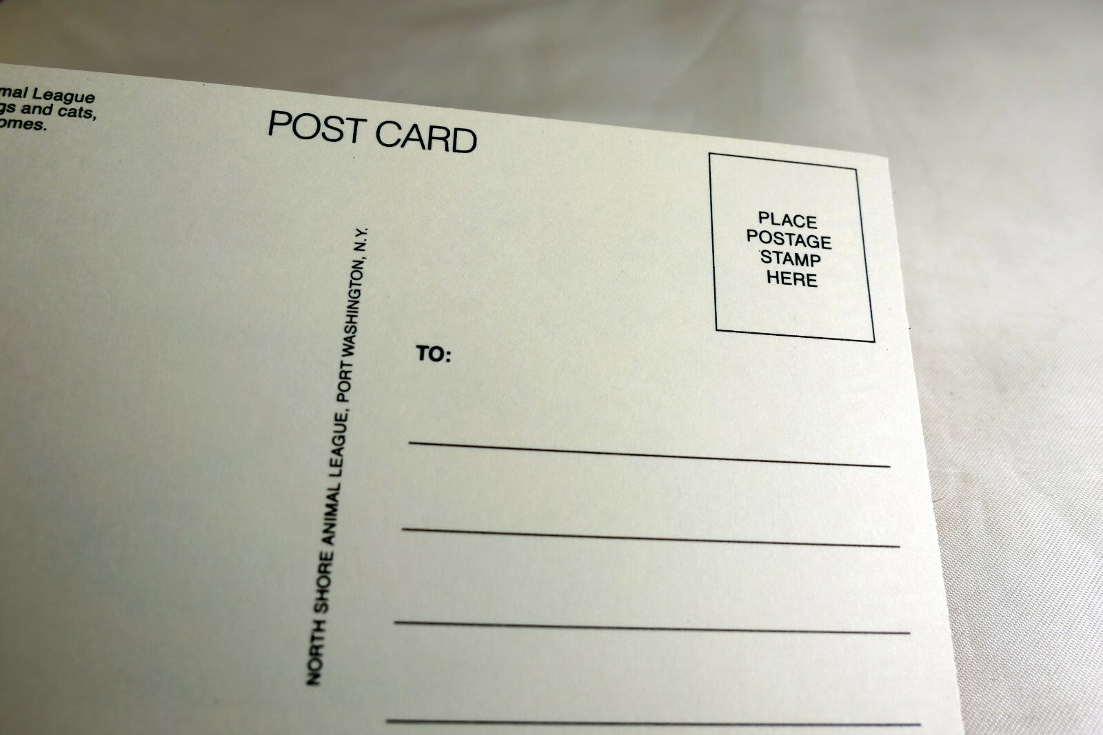 Happy Birthday Postcard Animal Shelter North Shore League Puppy Terrier adopt