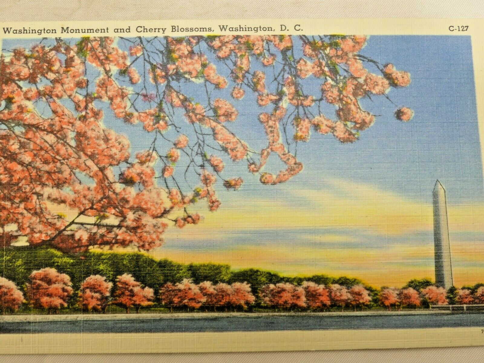Postcard washington monument potomac cherry blossoms washington dc linen 1940s