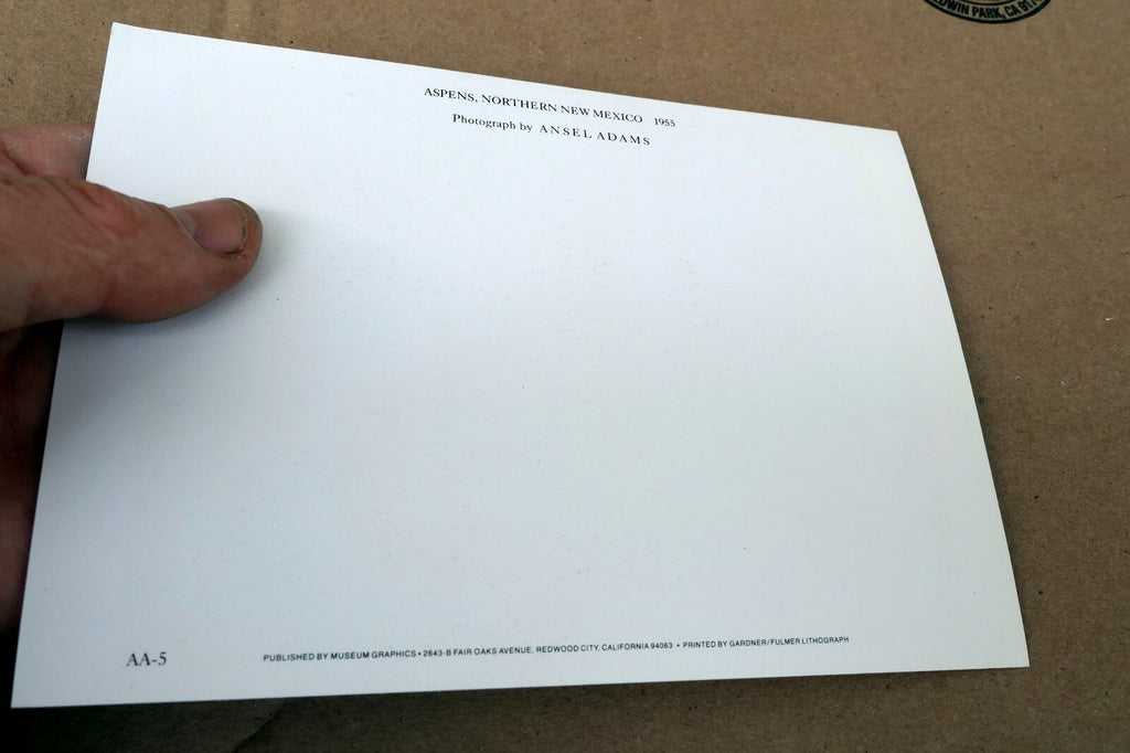 Aspens Northern New Mexico 1955 photo by Ansel Adams POSTCARD A-55 VII