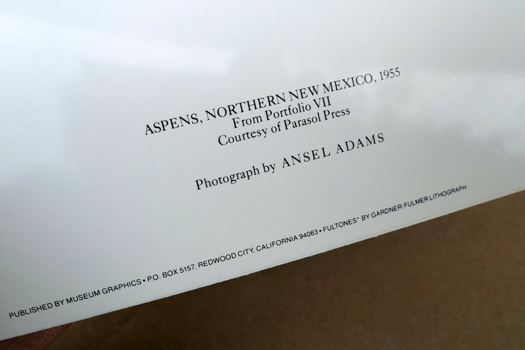 Aspens Northern New Mexico 1955 photograph by Ansel Adams A-005-95 greeting card