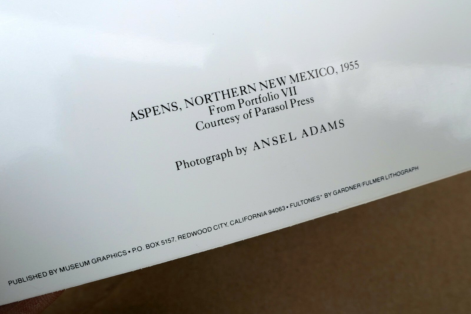 Aspens Northern New Mexico 1955 photograph by Ansel Adams A-005-95 greeting card