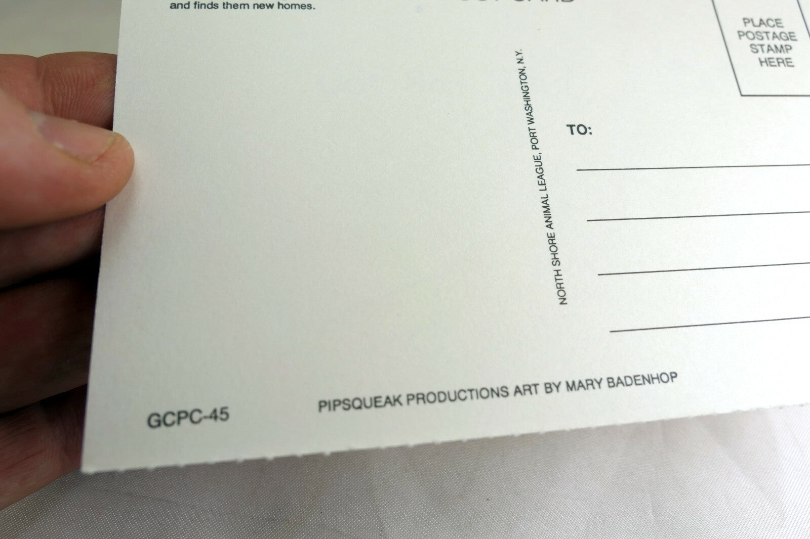 Just For You Get Well Postcard Animal Shelter North Shore League Dog Cat